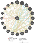 <p>Figure 6. GeneMANIA-based analysis of SCIN <em>SCIN</em> gene interactions.</p>
