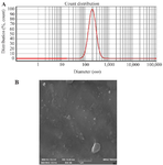 <p>Figure 1. Characterization of exosomes derived from luteolin-treated 4T1 cells. A) Size distribution of exosomes determined by Dynamic Light Scattering (DLS). B) Representative Field Emission Scanning Electron Microscopy (FESEM) image showing the morphology of 4T1-derived exosomes.</p>
