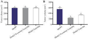 <p>Figure 5. Effects of luteolin and exosome treatment on tumor volume. A) No significant differences in mean tumor volume were observed among groups on day 1. B) By day 14, tumor volume was reduced by 39% in the luteolin-treated group compared with the model group, whereas exosome treatment produced the greatest inhibition, resulting in a 57% reduction relative to the model group and a 21% decrease compared with baseline (day 1). Different letters above the bars indicate statistically significant differences between groups (p<0.05).</p>
