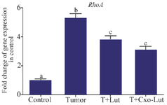 <p>Figure 6. <em>RhoA</em> gene expression in control, tumor, luteolin-treated, and exosome-treated groups. Treatment with luteolin and exosomes derived from luteolin-treated 4T1 cells significantly downregulated <em>RhoA</em> expression compared with the tumor group. Different letters above the bars indicate statistically significant differences among groups (p<0.05).</p>