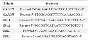 <p><strong>Table 1</strong>. PCR primers for the assessed genes</p>