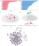 <p>Figure 2. A-B) Analysis of top transcription factors (SPI1, YY1, SP1) and kinases (CDK2, CDK4, CDK6) reveals their regulatory roles in senescence. C-D) Gene network and transcription factor-gene-kinase interactions show high connectivity of key regulators in senescence. E) PPI network identifies critical genes (CDKN1A, TP53, FOXO3, MDM2) with strong connectivity in aging-related pathways. Each analysis was performed using 24 hMSC samples (early passages 4-5; senescent passages 22-28). Adjusted p-value <0.05 and |log2FC| &ge;1 thresholds were applied.</p>
