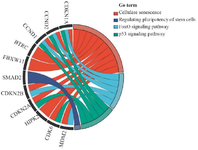 <p>Figure 3. GO chord diagram visualizing relationships between key DEGs and their associated KEGG pathways in senescent MSCs. The top 12 genes with the highest |log2FC| and lowest adjusted p-values are displayed. Chord thickness represents gene&ndash;pathway connectivity strength based on DAVID analysis (adj. p<0.05).</p>
