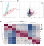 <p>Figure S1. A) Principal Component Analysis (PCA) of the early and late groups in the GSE7888 dataset reveals significant differences in gene expression patterns between the two groups. B) The volcano plot in the GSE7888 study clearly illustrates significant differential gene expression, highlighting both upregulated and downregulated genes. C) The heatmap in the GSE7888 study also visualizes the differential gene expression, along with the classification and clustering patterns of the samples.</p>