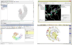 <p>Figure 1. Four software used in the study: ICM, CLC drug discovery, maestro, and MOE.</p>