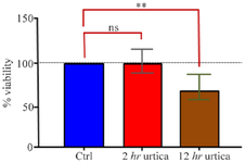 <p>Figure 3. MTT Test results.</p>
<p>ns (not significant): indicates non-significance, * and ** indicate significance levels of 5 and 1%, respectively.</p>
