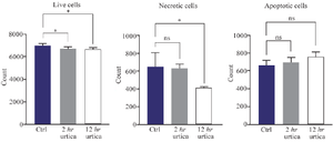 <p>Figure 5. Apoptotic and necrotic changes in Peripheral Blood Mononuclear Cells (PBMC) treated with nettle extract.</p>
<p>&nbsp;ns (not significant): indicates non-significance, and * and ** indicate significance levels of 5 and 1%, respectively.</p>
