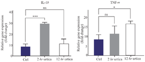 <p>Figure 7. Expression of pro-inflammatory cytokines *, **, and *** indicate p-values less than 0.5, 0.01, and 0.001, respectively.</p>
