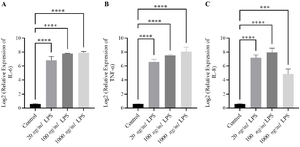 <p>Figure 1. Induction of pro-inflammatory cytokines in THP-1&ndash;derived macrophages after 6-<em>hr</em> LPS stimulation. THP-1&ndash;derived macrophages were treated with different concentrations of LPS (20, 100, and 1000 <em>ng/mL</em>) for 6 <em>hr</em>, and mRNA expression of <em>IL-6</em>, <em>TNF-&alpha;</em>, and <em>IL-8</em> was determined by qRT-PCR. LPS stimulation significantly upregulated <em>IL-6</em>, <em>TNF-&alpha;</em>, and <em>IL-</em>8 (p<0.0001) compared with unstimulated control cells. (A) <em>IL-6</em> and (B) <em>TNF-&alpha;</em> expression showed a dose-dependent elevation across all concentrations. While the strongest increase in (C) <em>IL-8</em> expression was observed at 100 <em>ng/ml</em> (p<0.0001). These findings indicate that short-term exposure to 100 <em>ng/ml</em> LPS induces a robust transcriptional activation of pro-inflammatory genes in macrophages. Data are presented as mean log₂-relative expression&plusmn;SEM of three independent experiments. Statistical significance was assessed using one-way ANOVA followed by Tukey&rsquo;s post hoc test.</p>
