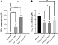 <p>Figure 3. Nitric oxide (NO) production in THP-1&ndash;derived macrophages following LPS stimulation. THP-1&ndash;derived macrophages were stimulated with increasing concentrations of LPS (20, 100, and 1000 <em>ng/ml</em>) for 6 <em>hr</em> (A) and 24 <em>hr</em> (B). Nitric oxide production was quantified in the culture supernatants using the Griess assay. After 6 <em>hr</em> of stimulation (A), NO levels markedly increased in LPS-treated macrophages compared with unstimulated controls. The 100 <em>ng/ml</em> LPS treatment induced the highest NO release, reaching approximately 179 <em>&micro;M</em> (p<0.0001), whereas 1000 <em>ng/ml</em> failed to further enhance production. By 24 <em>hr</em> (B), NO concentrations in all LPS-treated groups had returned to levels even lower than control levels indicating that NO synthesis is an early and transient response to LPS stimulation. Data are presented as mean&plusmn;SEM of three independent experiments. Statistical significance was determined using one-way ANOVA followed by Tukey&rsquo;s post hoc test.</p>
