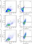 <p>Figure 4. Flow cytometric analysis of M1 marker expression in THP-1&ndash;derived macrophages after 6-<em>hr</em> LPS stimulation. (A) Gating strategy for identification of CD86⁺/HLA-DR⁺ macrophages. Quadrant boundaries were set according to unstained controls. (B) Representative dot plots show 28.5&plusmn;3.6% CD86⁺/HLA-DR⁺ cells in macrophage-like cells (M0) differentiated with PMA (50 <em>ng/ml</em>, 48 <em>hr</em>). An apparent increase in CD86⁺/HLA-DR⁺ cells was observed following 100 <em>ng/ml</em> LPS stimulation, indicating macrophage activation toward the M1 phenotype. (C) The proportion of CD86⁺/HLA-DR⁺ cells reached 58.9&plusmn;9.9% after 6 <em>hr</em> of stimulation.</p>
