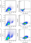 <p>Figure 5. Flow cytometric analysis of M1 marker expression in THP-1&ndash;derived macrophages after 24-<em>hr</em> LPS stimulation. (A) Gating strategy for identification of CD86⁺/HLA-DR⁺ macrophages. Quadrant boundaries were set according to unstained controls. (B) Representative dot plots show 17.1&plusmn;0.8% CD86⁺/HLA-DR⁺ cells in macrophage-like cells (M0) differentiated with PMA (50 <em>ng/ml</em>, 48 <em>hr</em>). Following 100 <em>ng/ml</em> LPS stimulation for 24 <em>hr</em>, the proportion of double-positive cells increased to 35.7&plusmn;11.0%, indicating that macrophage activation was maintained over time, though at a lower level than the 6-<em>hr</em> stimulation.</p>

