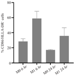 <p>Figure 6. Comparative analysis of M1 marker expression in THP-1&ndash;derived macrophages after 6- and 24-<em>hr</em> LPS stimulation. Flow cytometric quantification of CD86⁺/HLA-DR⁺ macrophages following stimulation with 100 <em>ng/ml</em> LPS for 6 <em>hr</em> and 24 <em>hr</em>. The proportion of double-positive cells peaked at 58.9&plusmn;9.9% after 6 <em>hr</em> and remained elevated at 35.7&plusmn;11.0% after 24 <em>hr</em>, compared with 28.5&plusmn;3.6% in unstimulated M0 controls. These data indicate that early (6-<em>hr</em>) LPS exposure induces the most pronounced macrophage activation, while a sustained but attenuated activation persists after 24 <em>hr</em>.</p>
