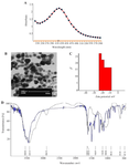 <p>Figure 1. Synthesis and characterization of Cur-AgNPs.</p>

<p>A) UV&ndash;visible absorption spectrum of Cur-AgNPs. The absorption peak observed around 450 <em>nm</em> confirms the formation of silver nanoparticles.</p>
<p>B) TEM image of Cur-AgNPs showing spherical nanoparticles with good dispersion.</p>
<p>C) Zeta potential curve of Cur-AgNPs. The nanoparticles exhibited a negative potential ranging from ‐10 to ‐30 <em>mV</em>, which prevents their aggregation.</p>
<p>D) Comparison of FTIR spectra of curcumin (blue) and Cur-AgNPs (black). The similarity between the two spectra indicates that curcumin is bound to the silver nanoparticles.</p>
