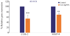 <p>Figure 4. RT-PCR was performed to analyze the expression of <em>COX-2</em> and <em>MMP-9</em> genes in the control and the groups were treated by 13 <em>&micro;g/ml</em> of Cur-AgNPs, (mean&plusmn;SD), ***p&le;0.001.</p>
