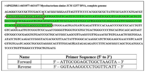 <p>Figure 1. The particular target sequence of <em>M. simiae</em>, referred to as MST601, encompassing 601 base pairs. The locations and sequences of the forward and reverse primers are specified (Tm: 59.17 and 57.77, respectively; GC%: 50.00 for both).</p>
