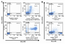 Figure 3. Flow cytometric analysis of cell surface molecules on Nalm-6 and CCRF-CEM cells treated with 4-HPR, 1α,25(OH)2D3, and Bryostatin-1. Nalm-6 cells were assessed via flow cytometric analysis using PE-conjugated anti-CD19 mAb (A) or anti-CD38 mAb (B), 24, 48 and 72 hr post treatment. (C) Expression of CD7 by CCRF-CEM cells using FITC-conjugated anti-CD7 mAb. Results represent the mean±S.E.M. of three separate experiments. P-values are for individual treatment groups compared to control (*p < 0.001, **p < 0.01, # p < 0.05).