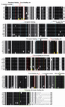 Figure 1. Multiple alignment of β-tubulin of different spe-cies: a) Oryza sativa, b) Plasmodium falciparum, c) Salmo-salar, d) Bostaurus, e) Drosophila melanogaster, f) Homo sapiens, g) Cyathostomumcatinatum, h) Gallus gallus and i) Saccharomyces cerevesia. Key residues for taxol binding (red), epothilone A binding (orange) and common residues for binding of taxol and epothilone A (green) are highlighted