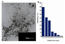 Figure 2. Transmission electron micrograph (A) from a drop-coated film of prepared gold nanoparticles fabricated by D-glucose for 1 hr. The transmission electron micro-scopy image shows that small spherical nanoparticles. The particles size distribution histogram (B) shows that the size of generated nanoparticles was less than 28 nm and 40% of these nanoparticles were smaller than 4 nm