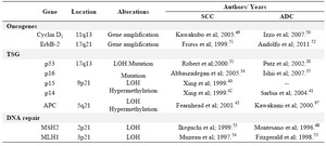 Table 2. Summary of the most common alterations in esophageal cancers
SCC, Squamous cell carcinoma; ADC, Adenocarcinoma; LOH, loss of heterozygosity; TSG, tumor suppressor gene; APC, adenomatous polyposis coli; MLH1, mutL homolog1