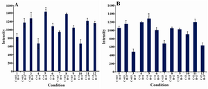 Figure 3. The effect of the time of incubation with IPTG (h) and IPTG concentration (mM) on SDS-PAGE band intensity of target protein: H: time of incubation with IPTG, C: IPTG concentration. A) PhaC1, the intensity of the band observed in lane 5 was significantly different from lanes 1, 4, 7 and10. B) PhaC2, the intensity of the band observed in lane 5 was significantly different from lanes 3, 7, 10 and 12. (ANOVA, post hoc, n=3 and p<0.05)