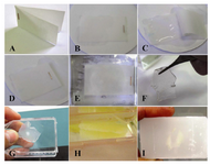 Figure 6.  Preparation and culture of alginate sheets. A) Tow layer sterile filter paper was prepared. B) filter paper was soaked in CaCl2. C) hydrogel sheet was cast between two layer filter papers. D) sheet was allowed to instantaneous gelation. E) casting was transferred into CaCl2 solution. F) single alginate/chondrocyte sheet. G)  Alginate sheets cul-tured in flask. H) Fixation of alginate/chondrocyte beads in bouin fixative. I) Embedding of alginate/chondrocyte beads in paraffin wax