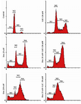 Figure 4. Cell cycle analysis of DU145 cells in the presence of LiCl or Doxorubicin alone or in combination by flow cyto-metry analysis. 230 M and 2.5 M represent IC50 and low doses, respectively. 20 mM LiCl represents IC50 dose. M1: subG1; M2: G1; M3: S; M4: G2/M phases. Figure is rep-resentative of one of three independent experiments