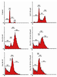 Figure 5. Cell cycle analysis of DU145 cells in the presence of LiCl or Etoposide in combination by flow cytometry analysis. 18 M and 2.5 M represent IC50 and low doses, respectively. 20 mM LiCl represents IC50 dose. M1: subG1; M2: G1; M3: S; M4: G2/M phases. Figure is representative of one of three independent experiments