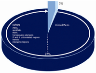 Figure 1. Coding and Non-coding DNA in human genome