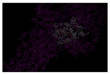 Figure 2. Showing the binding site view for I-TASSER model