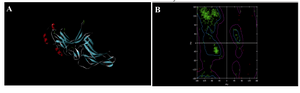 Figure 3. Secondary structure and Ramachandran plot view of the model by modeler9v8