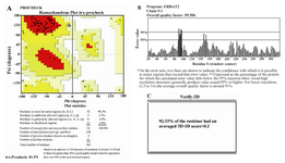 Figure 4. Model evaluation by SAVES server. A) Ramachandran plot procheck, B) ERRAT Program, C) Verify_3D program