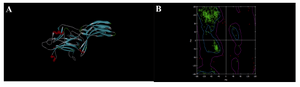 Figure 5. Model generated after optimization using steepest descent (1000) and conjugate gradient(5000) algorithm  using GROMACS