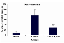 Figure 2. Neuroprotective effects of WK pre-treatment on PTZ-induced seizures in male rats